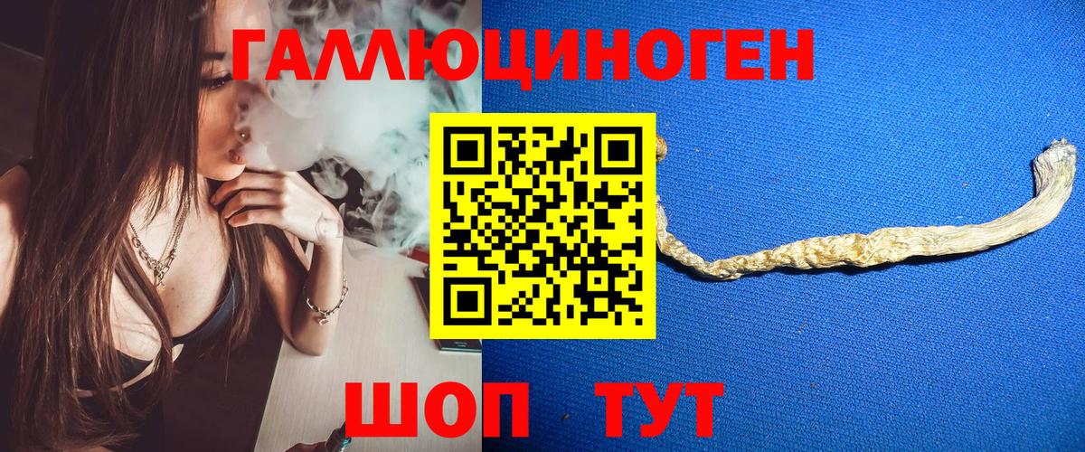 Псилоцибиновые грибы Cubensis Полысаево
